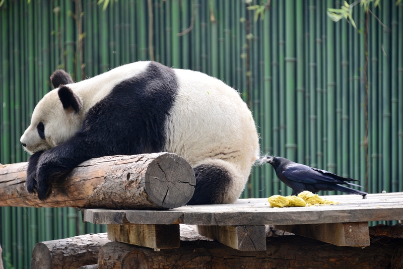 Ah, That’s the Spot | Getty Images Photo by Feature China/Future Publishing