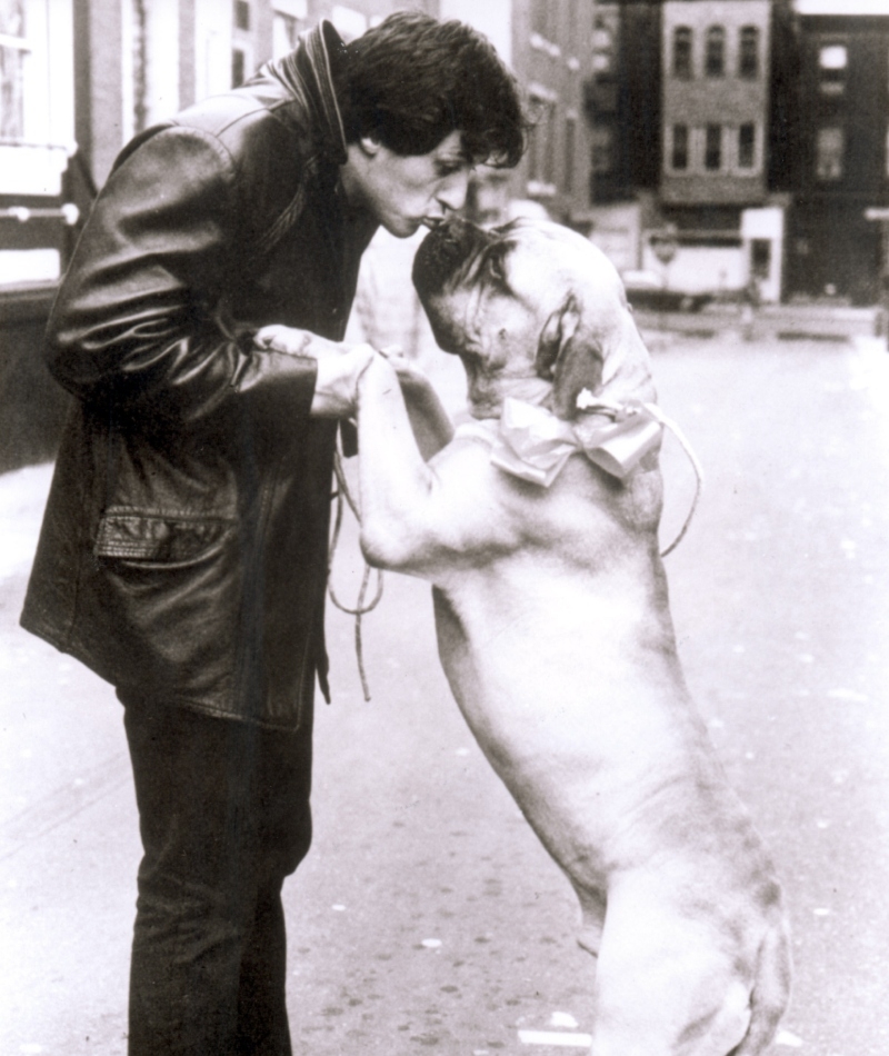 Stallone and Butkus | Alamy Stock Photo