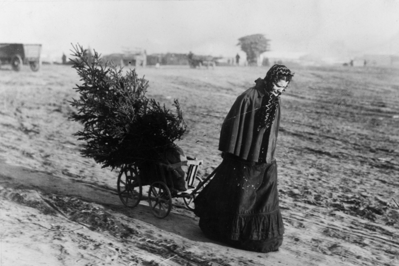 Christmas Tree Shopping | Getty Images Photo by Otto Haeckel