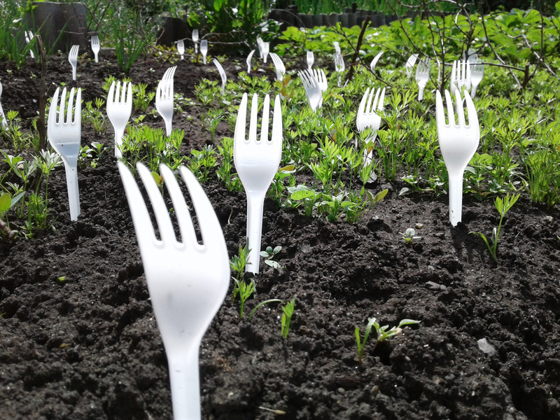 Keeps the Critters Away With Plastic Forks | Shutterstock Photo by kos1976