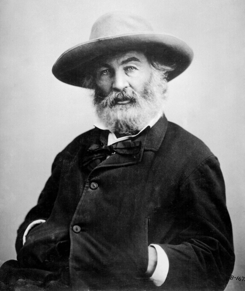 Walt Whitman | Alamy Stock Photo by Photo Researchers/Science History Images