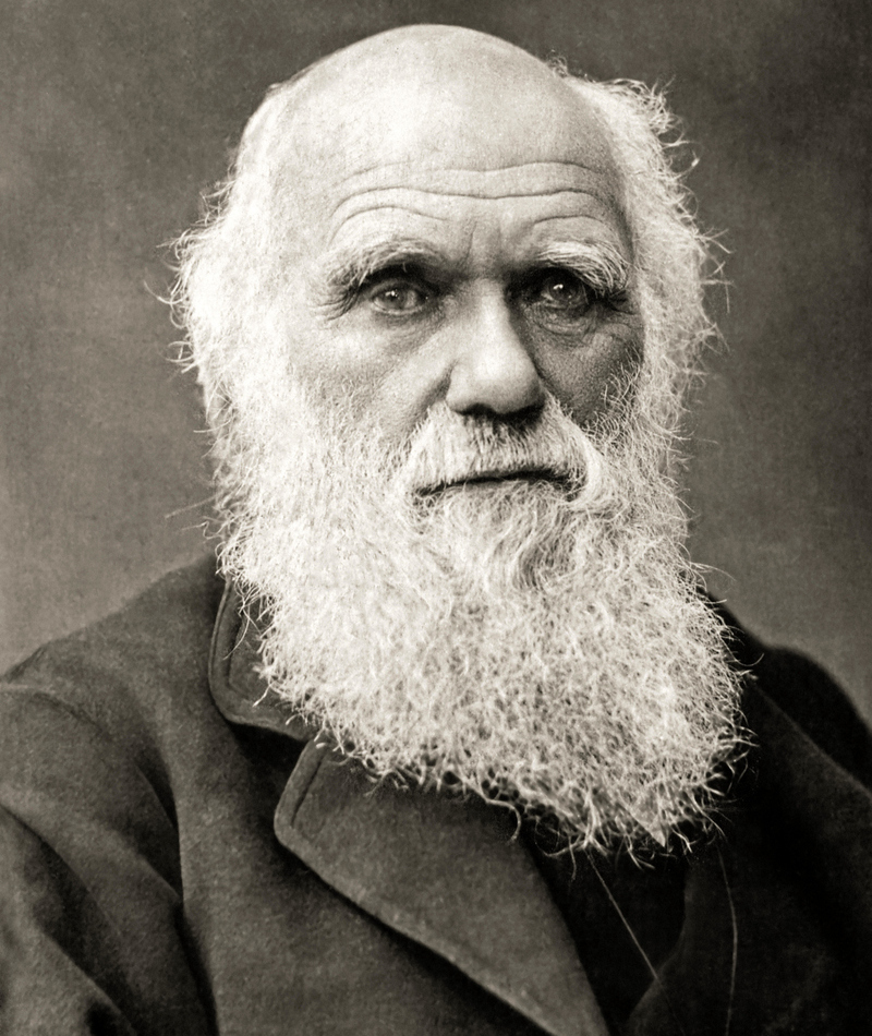 Charles Darwin | Alamy Stock Photo by AF Fotografie