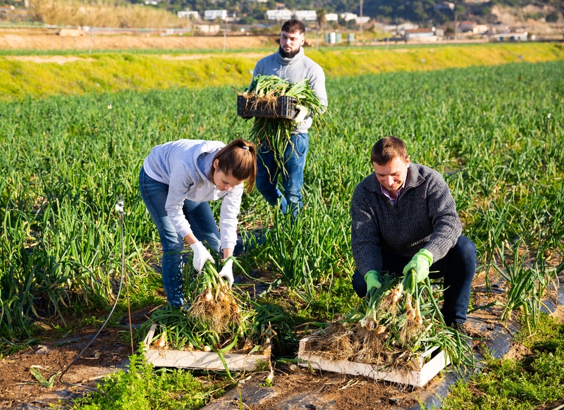 Farmers and Growers Were Badly Affected | Shutterstock