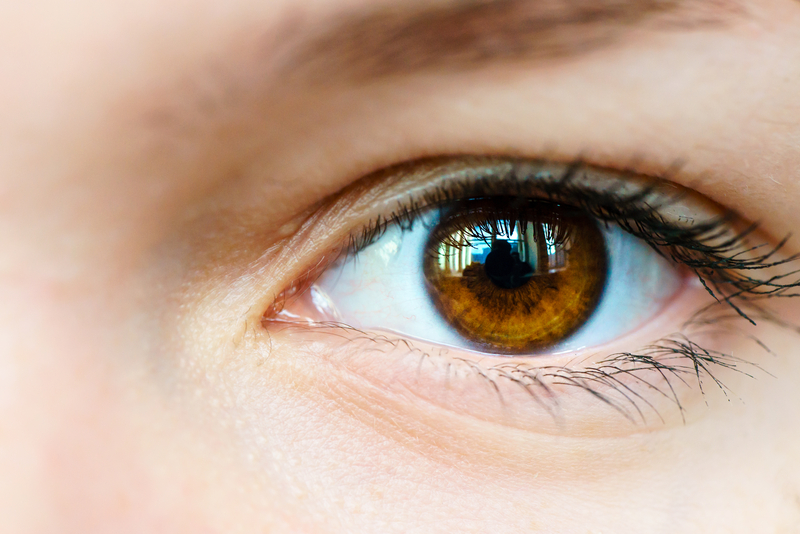 We Were All Brown-Eyed Girls Once | Shutterstock