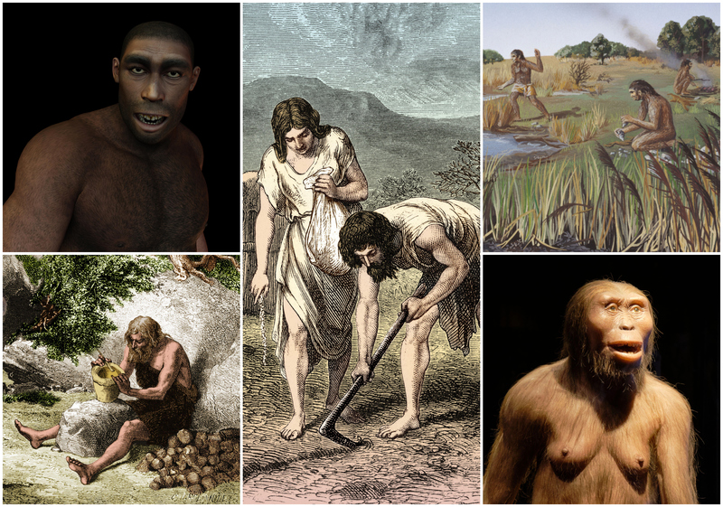 The Way We Began – Facts About Early Humans and Human Evolution | Alamy Stock Photo 