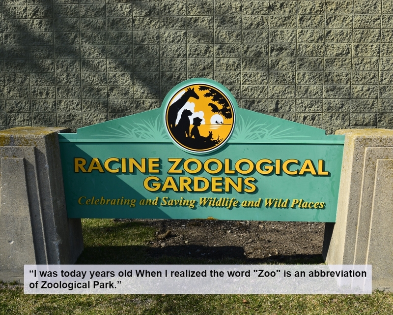 The Not-So-Secret Origin of the Word Zoo | Shutterstock