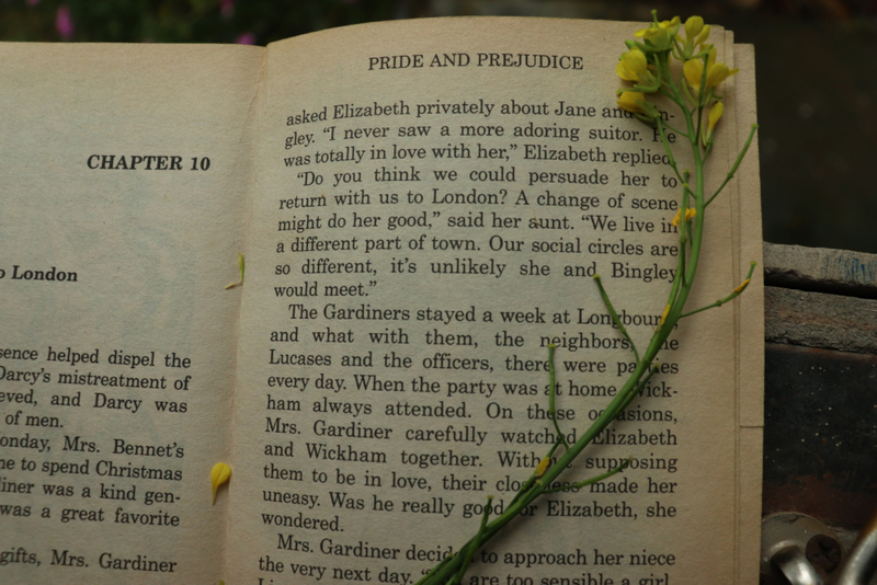The Sense of Humor of Jane Austen | Shutterstock Photo by Harsh Palo