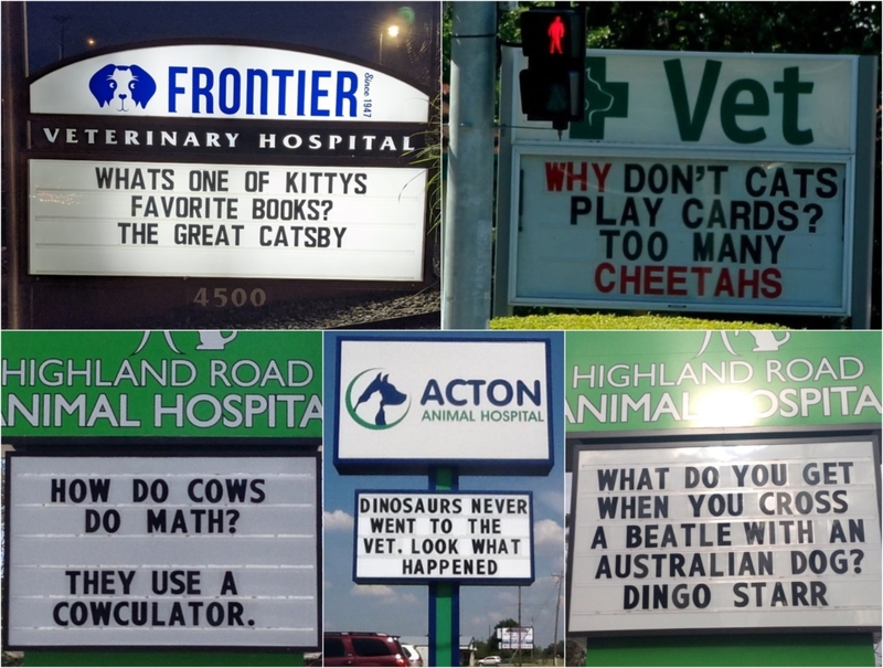 Vet Signs That Will Brighten Your Day | Instagram/@frontiervet & Flickr Photo by bertknot & Facebook/@ActonAnimalHospital & @HighlandRoadAnimalHospital