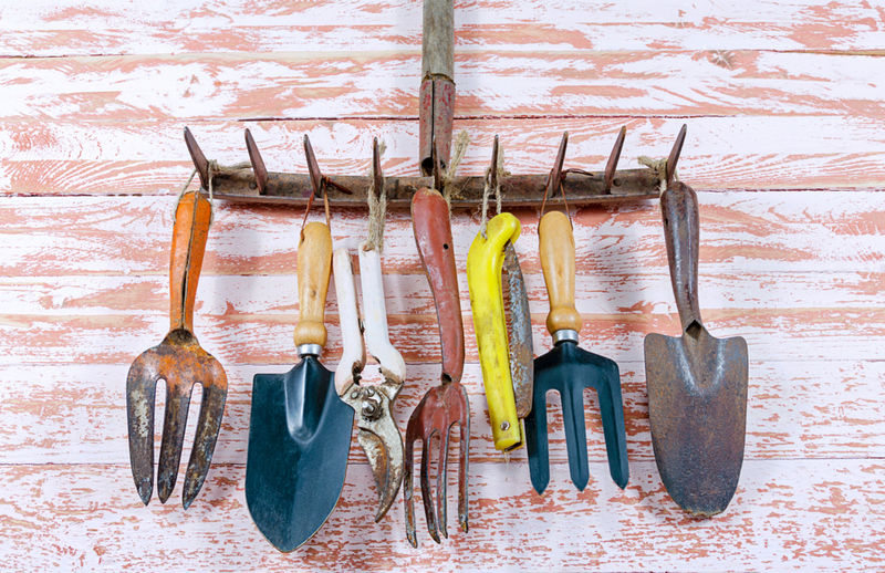 Use Your Garden Rack | Shutterstock Photo by Egorov Igor