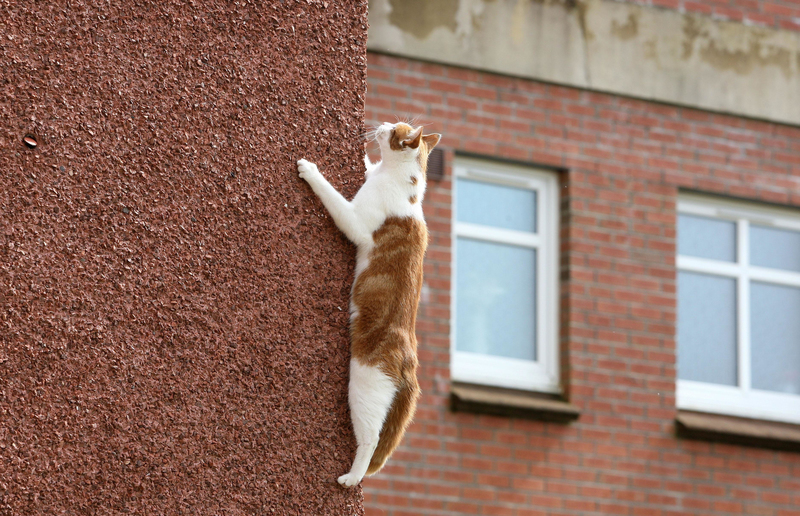 High Flyer | Alamy Stock Photo by Andrew Milligan/PA Images 