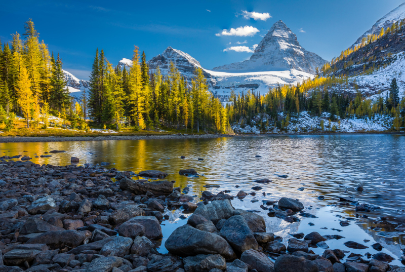 Canada | Alamy Stock Photo by Inge Johnsson