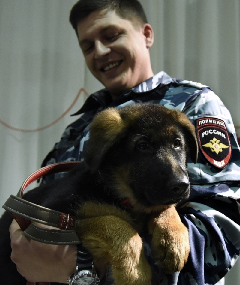 Policeman’s Joy | Getty Images Photo by YURI KADOBNOV/AFP