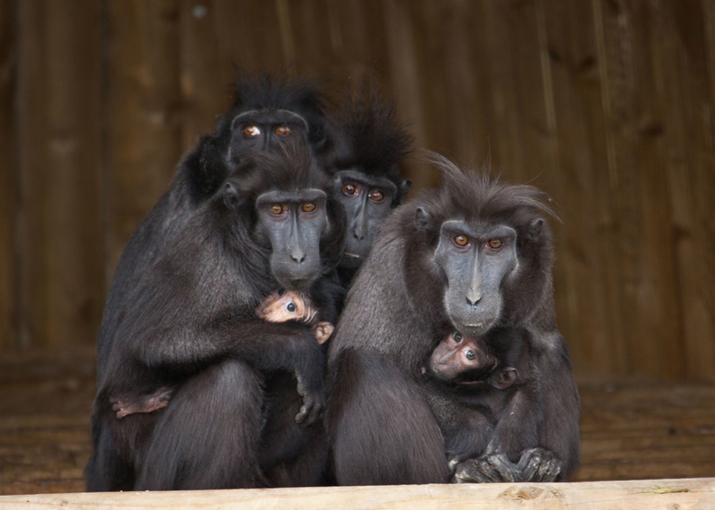 What Are You Looking At? | Alamy Stock Photo by Jack Bishop